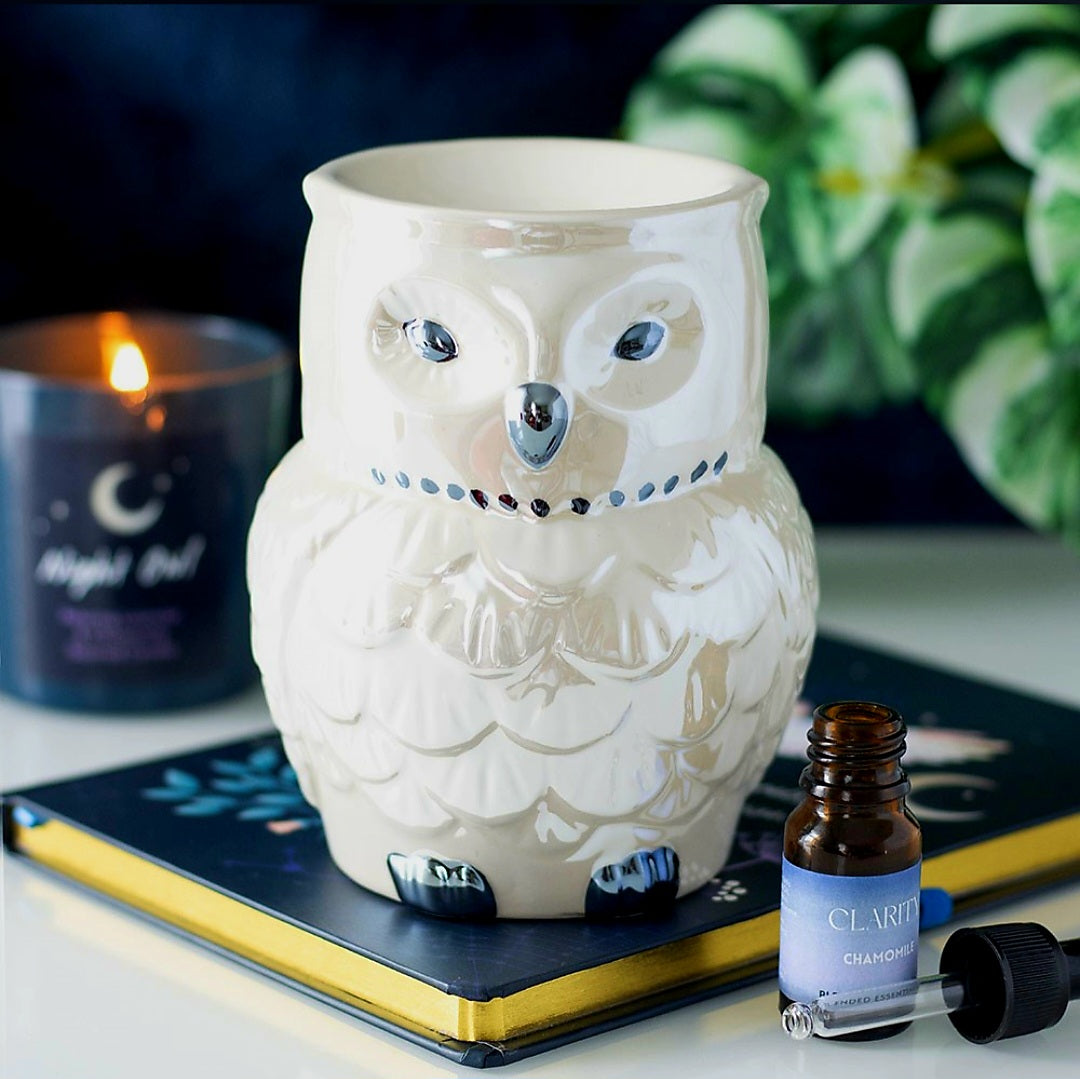 Mystical Iridescent Owl Burner